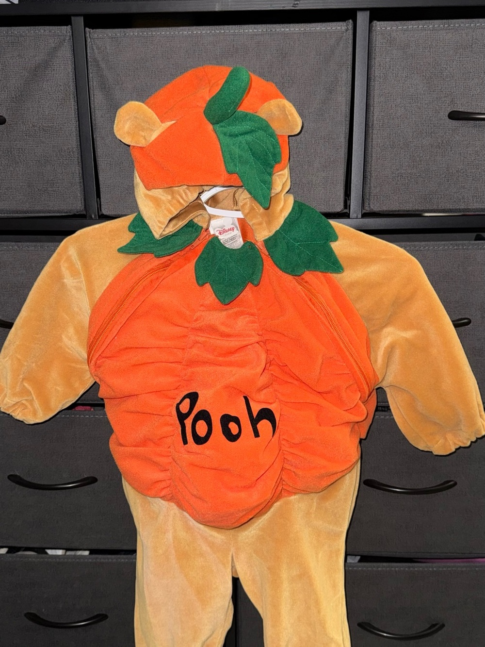 Disney Orange and Tan Winnie the Pooh Pumpkin Costume with Green Leaf Accents